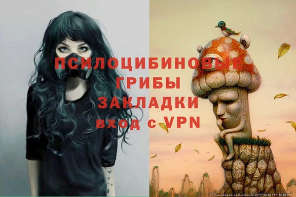 хмурый Инсар